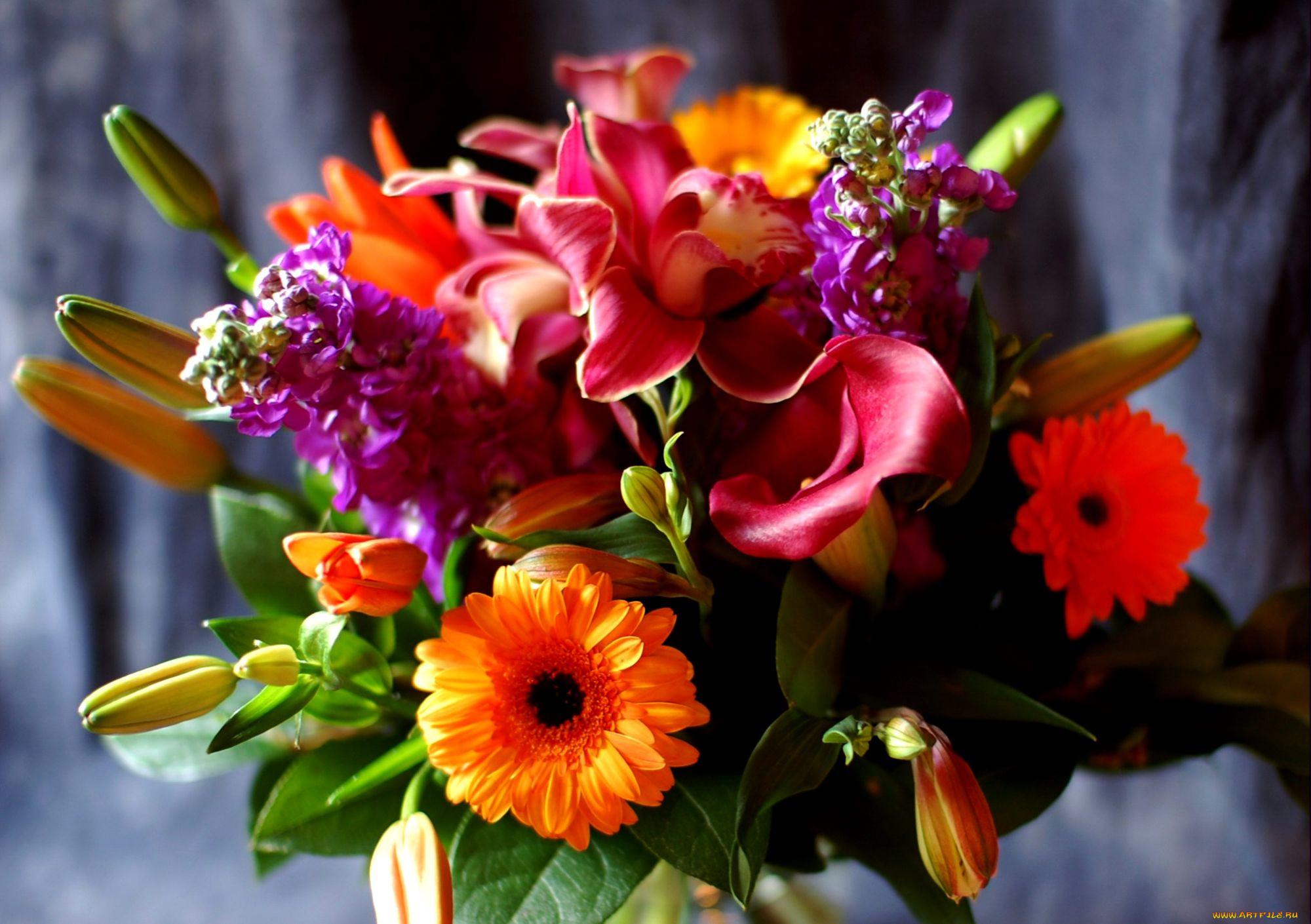 Фото букета на телефон. Красивый букет цветов. Яркий букет цветов. Шикарный букет цветов. Красивые яркие цветы.